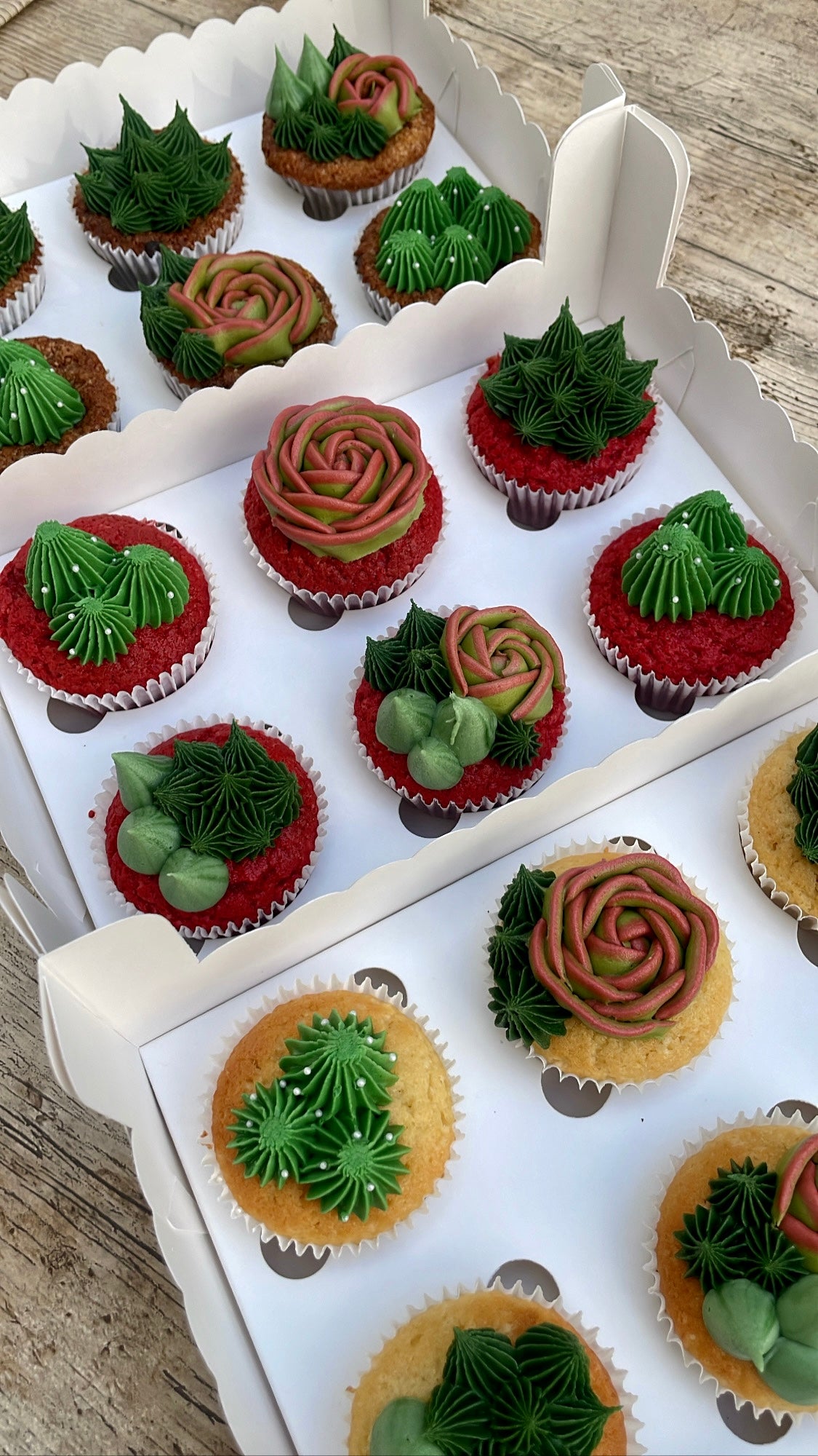 Cupcakes de Cactus y Suculentas