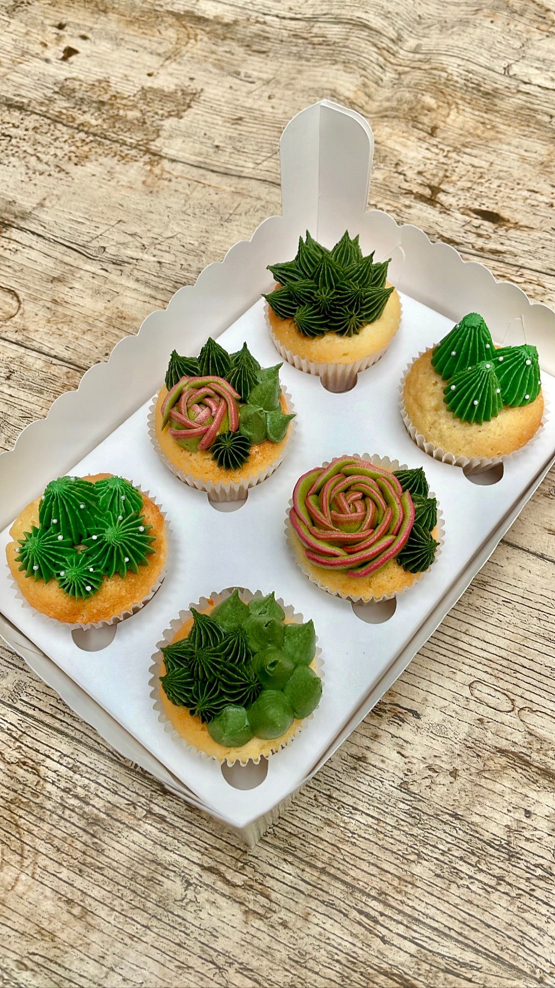Cupcakes de Cactus y Suculentas